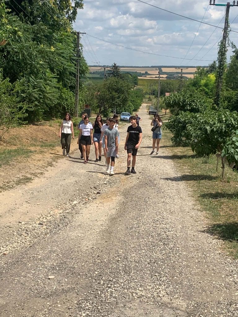 Fiatalok sétálnak egy dűlőúton